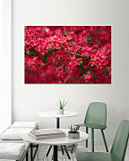 Obraz Rozkvitnutá vetvička 1409